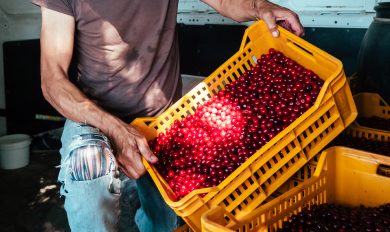 Servizio fotografio azienda aliemntare